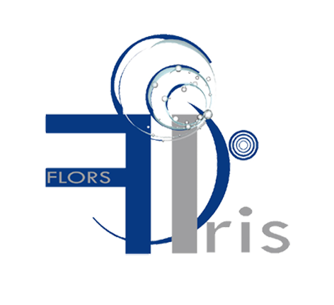 Flors Iris